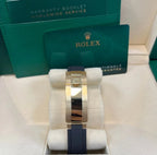 Rolex Daytona / Gold Azul-Turquesa