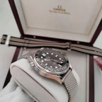 Omega Seamaster