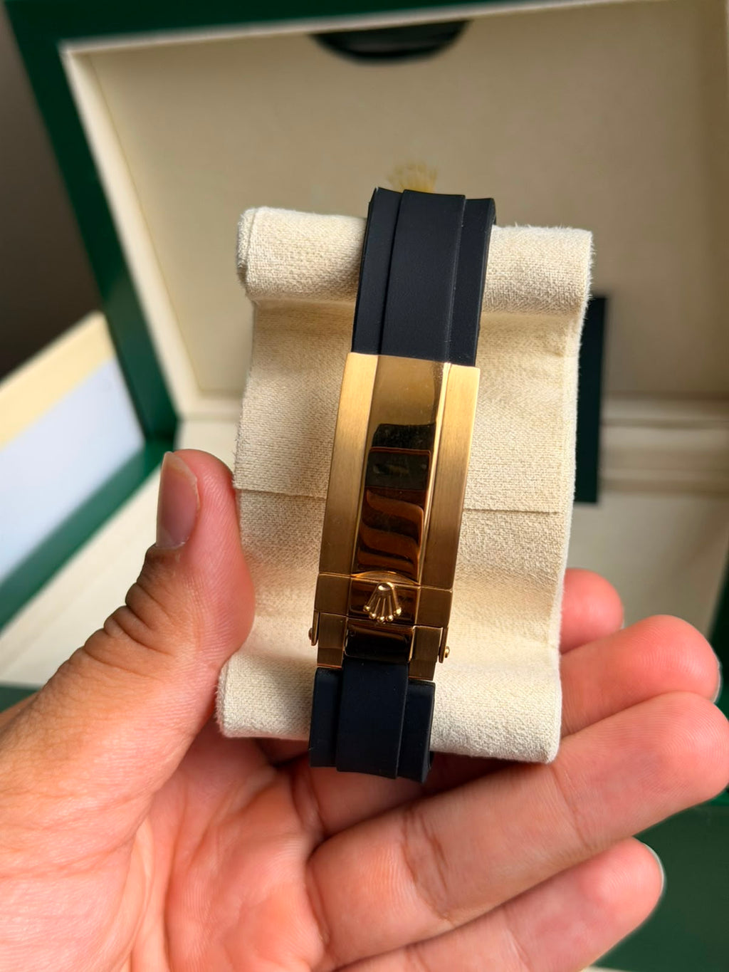 Rolex Daytona / Gold Azul-Turquesa