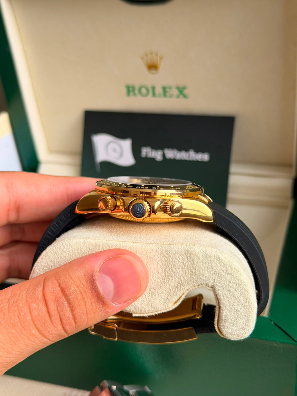 Rolex Daytona / Gold Azul-Turquesa